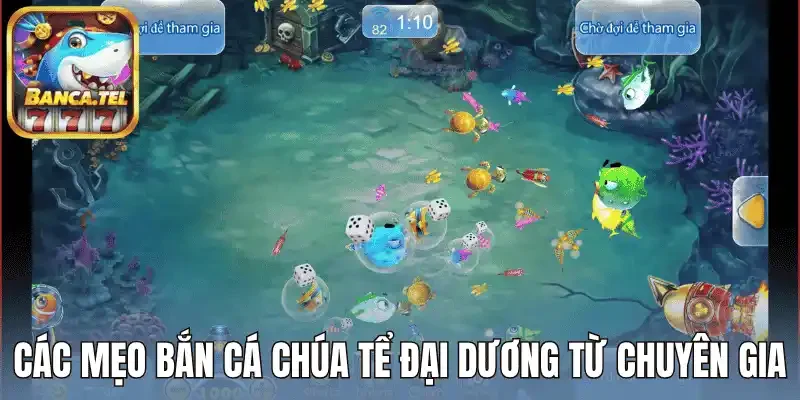 Các mẹo bắn cá chúa tể đại dương từ chuyên gia