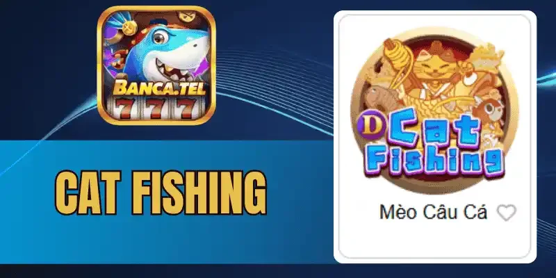 Hệ thống vũ khí cat fishing chuyên nghiệp