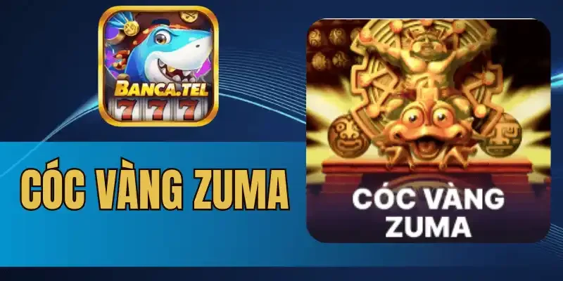 Luật chơi cóc vàng zuma khá đơn giản, dễ hiểu