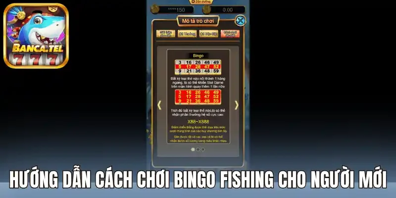 Hướng dẫn cách chơi bingo fishing cho người mới